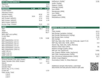 Oaten Hay 8x4x3 Bales