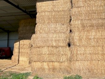 70 mt Sub Clover/Balansa Clover Hay