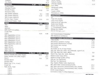 200mt Vetch-Ryegrass Mix Hay