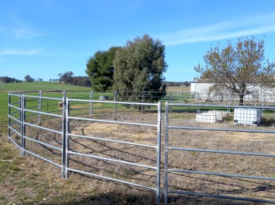 Horse Yard Panels
