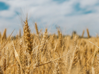 Granulock Z ex Brisbane - Available Now!