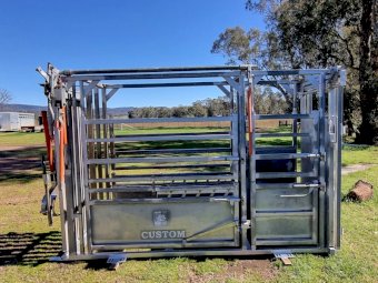 RPM CUSTOM CATTLE CRUSH WITH MUGGER STYLE HEADLOCK