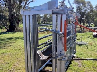 RPM CUSTOM CATTLE CRUSH WITH MUGGER STYLE HEADLOCK