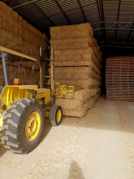1000 Bales Wheat/Vetch Blend Hay
