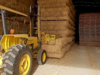 1000 Bales Wheat/Vetch Blend Hay