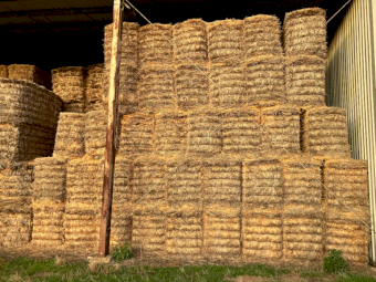 20mt Wheaten Straw 450-500kg 8x4x3 Bales