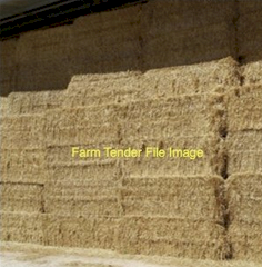 Wheat Straw
