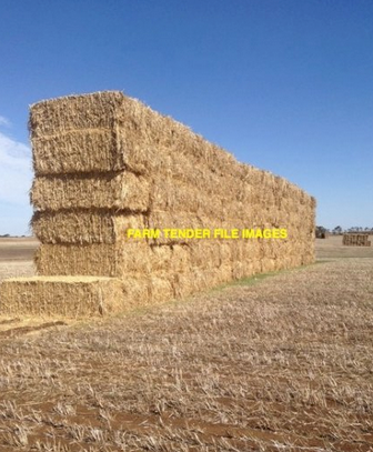 Wheat Hay 8x4x3