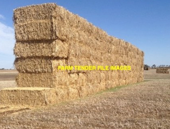 Wheat Hay 8x4x3