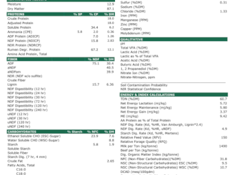 50mt Lucerne Hay 670kg 8x4x3 Bales