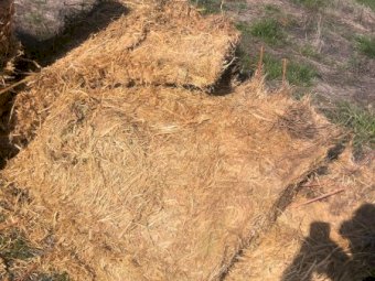 130 x Oaten Hay 8x4x3 Top Bales