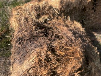 130 x Oaten Hay 8x4x3 Top Bales