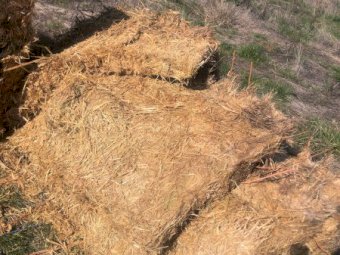 130 x Oaten Hay 8x4x3 Top Bales