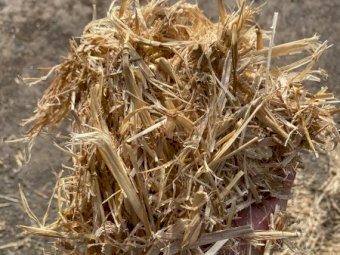 30mt Barley Straw 8x4x3 Bales