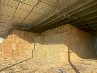 5000 x A1 Oaten Hay Small Square Bales