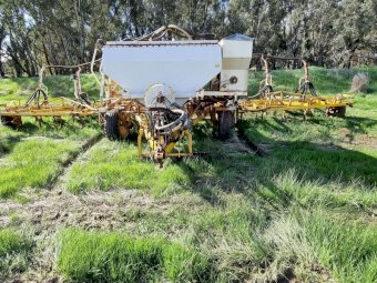 Connor Shea 63 Tyne Scariseeder