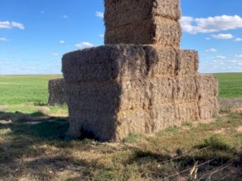 9MT Cereal Hay 8X4X3 Large Square Bales
