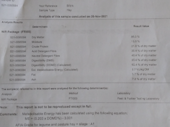 A1 22' Season Vetch Hay