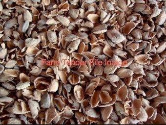 Unmilled Almond Hulls delivered