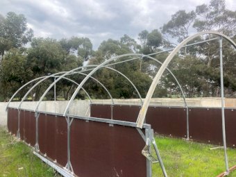 Pig-Chicken Eco Shelter