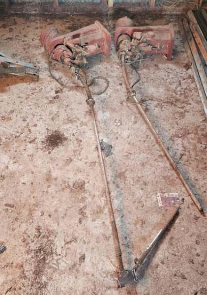 2 x Sunbeam Shearing Plants