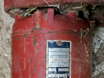 2 x Sunbeam Shearing Plants