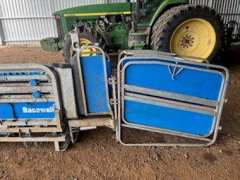 2019 Te Pari Racewell HD4 Sheep Handler