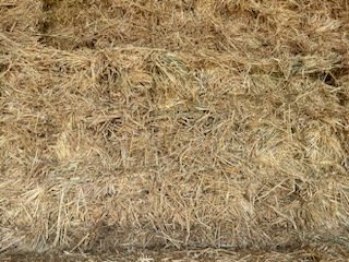 1000 x Oaten Hay Small Squares