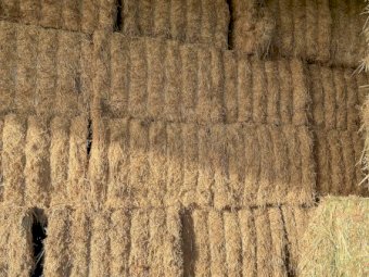 160mt Vetch Hay 620kg 8x4x3 Bales