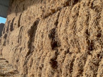 160mt Vetch Hay 620kg 8x4x3 Bales