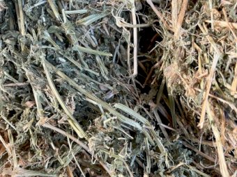 160mt Vetch Hay 620kg 8x4x3 Bales