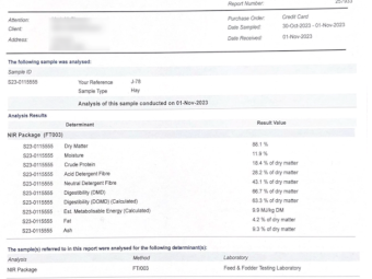 80mt Vetch Hay 650kg 8x4x3 Bales