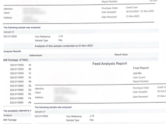 30mt Vetch Hay 650kg 8x4x3 Bales