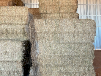 30mt Vetch Hay 650kg 8x4x3 Bales