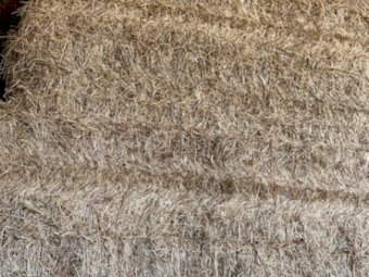 50MT Clover Hay 8X4X3 Large Square Bales