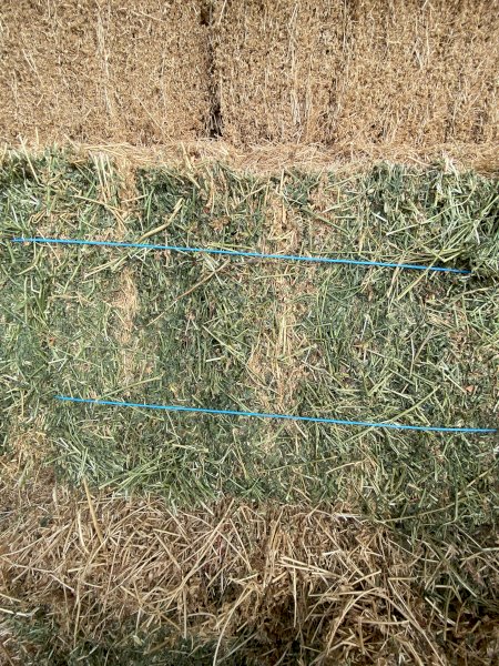 Lucerne Small Square Bales