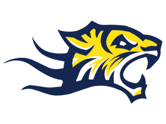 Under Auction - UNRESERVED Nhill and District Sporting Club New Ahrens 37 Tonne Field Bin Auction 