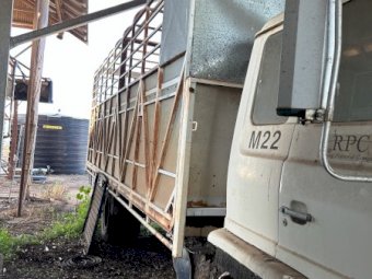 1984 Hino Truck with Stock Crate