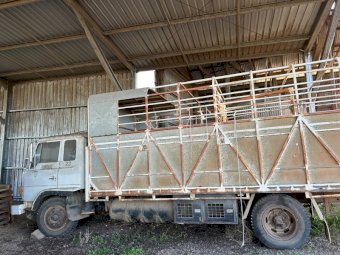 1984 Hino Truck with Stock Crate