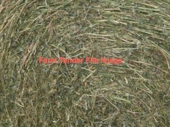 Lucerne rolls 2024 summer cut