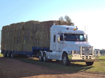 2004 Freightliner Century Classic Prime Mover