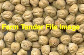 150mt Kabuli Chickpeas