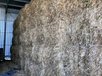 150MT Oaten Hay 8X4X3 Large Square Bales.