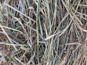 65 X Bales Wheaten Hay 5X4 Round Bales - Certified Organic