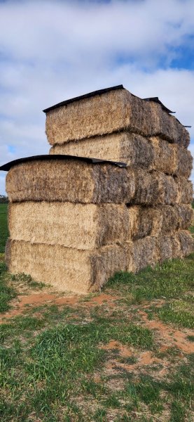 Ryegrass Hay 8X4X3 Large Square Bales - Assorted