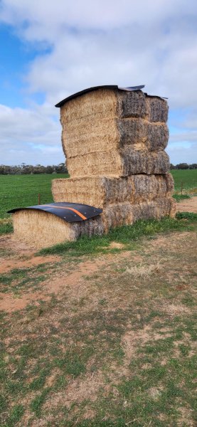 7MT Ryegrass Hay 8X4X3 Large Square Bales