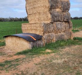 7MT Ryegrass Hay 8X4X3 Large Square Bales