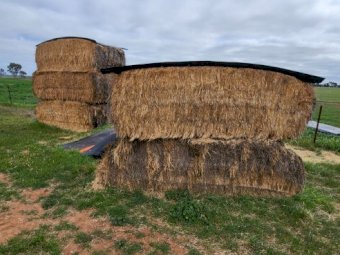 Ryegrass Hay 8X4X3 Large Square Bales - Assorted