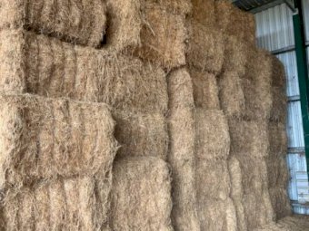 40mt Lucerne Hay 8x4x3 Bales