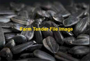2MT Black Sunflower Seed